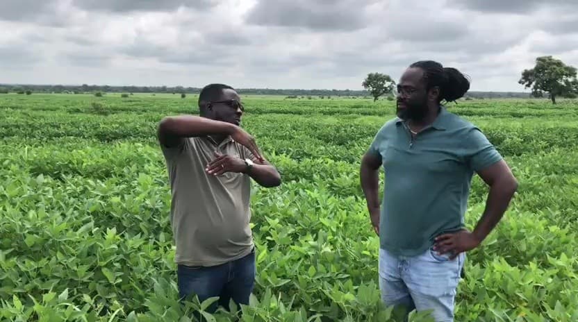 Investor and leadership briefing in the soybean field